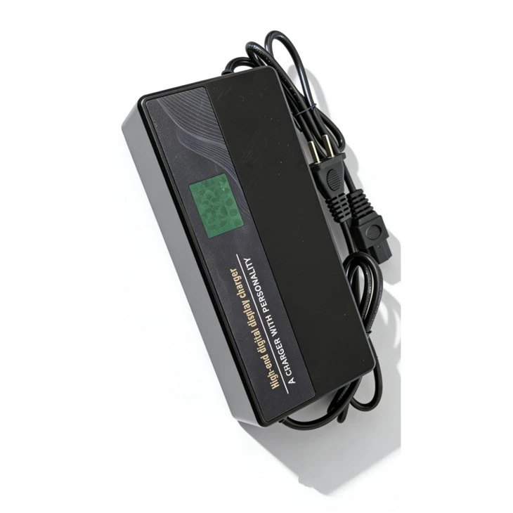 Fast Charging E Bike Charger price